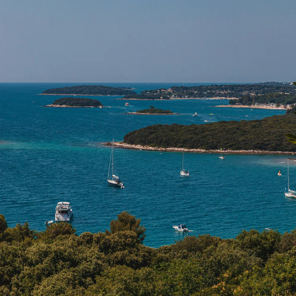 Wildlife and coast